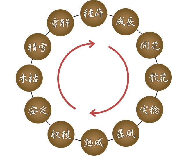 開花石珠輪イメージ
